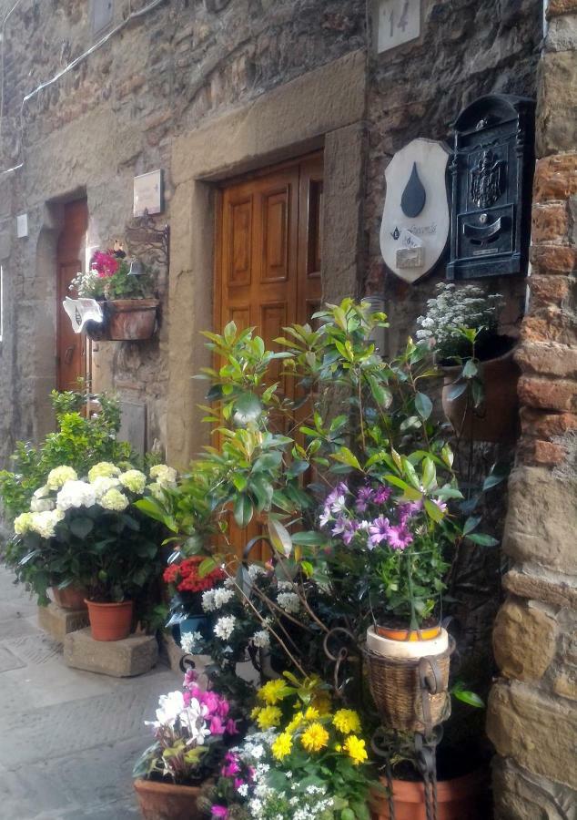Hotel Nero Gioconda Anghiari Zewnętrze zdjęcie